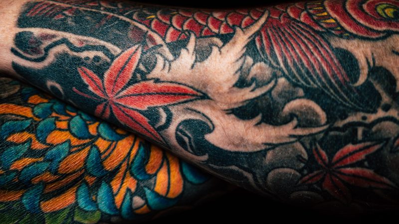 etapy gojenia tatuażu
